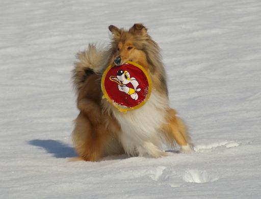 Fotos f. Homepage Galerie 031